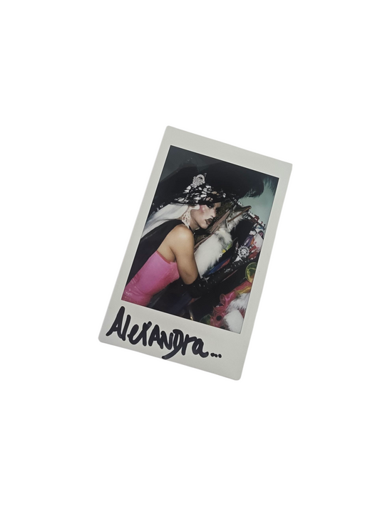 POLAROID MEET 12