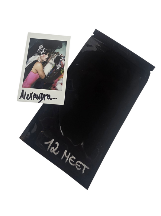 POLAROID MEET 12