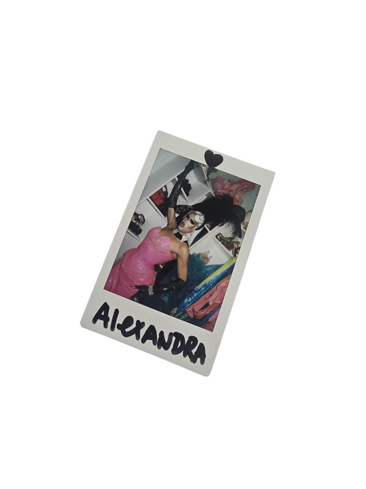 POLAROID MEET 14